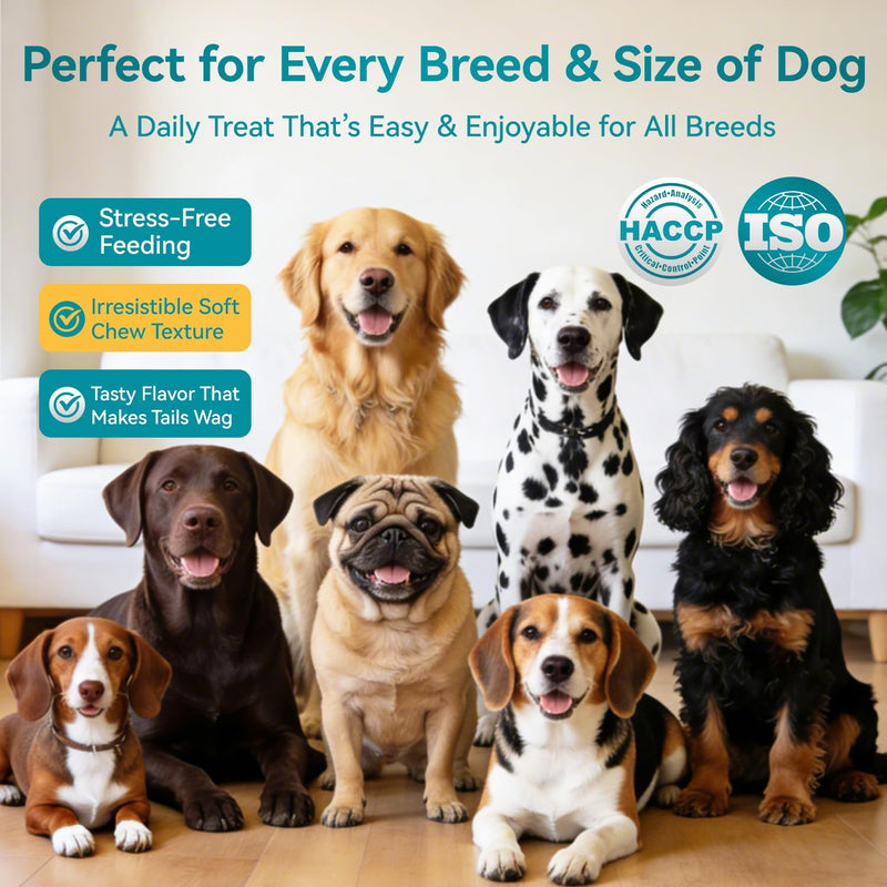 Probiotics for Dogs, 200 Soft Chews with Digestive Enzymes and Prebiotics, Daily Digestive Support for Gut Health and Stool Balance, Chicken Flavor 200 Chews
