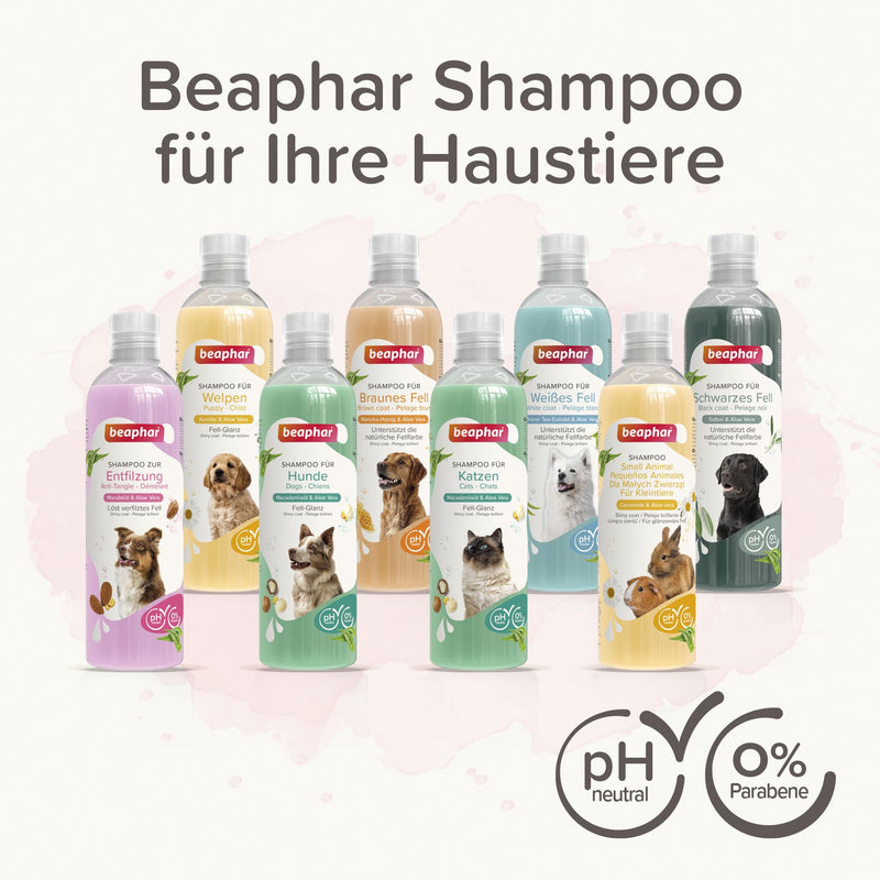 Beaphar shampoo for cats, with macadamia oil and aloe vera, pH neutral, paraben-free, vegan, pack of 1 - BeesActive Australia