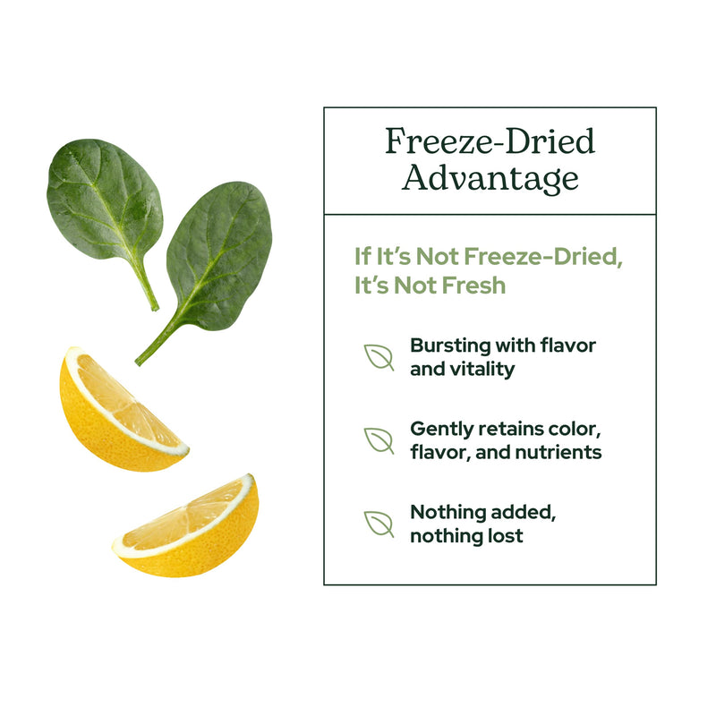 Eclectic Herb - Lemon Greens Powder Supplement | Immune + Detox Support | Nutritional Support, Vitamins + Minerals | Superfood Powder + Daily Greens Drink Mix | Non-GMO, Vegan (3.2 oz | 90 g)