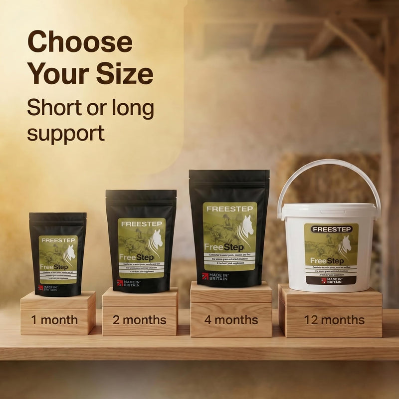 Original | Rapid stiffness relief for Laminitis Prone Horses | Intensive Horse Supplement | Magnesium, Boswellia & Bromelain Powder | Equine Mobility & Hoof Comfort | Molasses Free Low Sugar 250g | 1 Months Supply