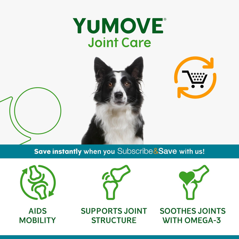 YuMOVE Joint Supplement for Dogs, Daily Bites for Joint Care, Essential Dog Hip and Joint Support for Stiff Adult Dogs with Glucosamine, Chondroitin, Green Lipped Mussel, 60 Tablets 60 Chews