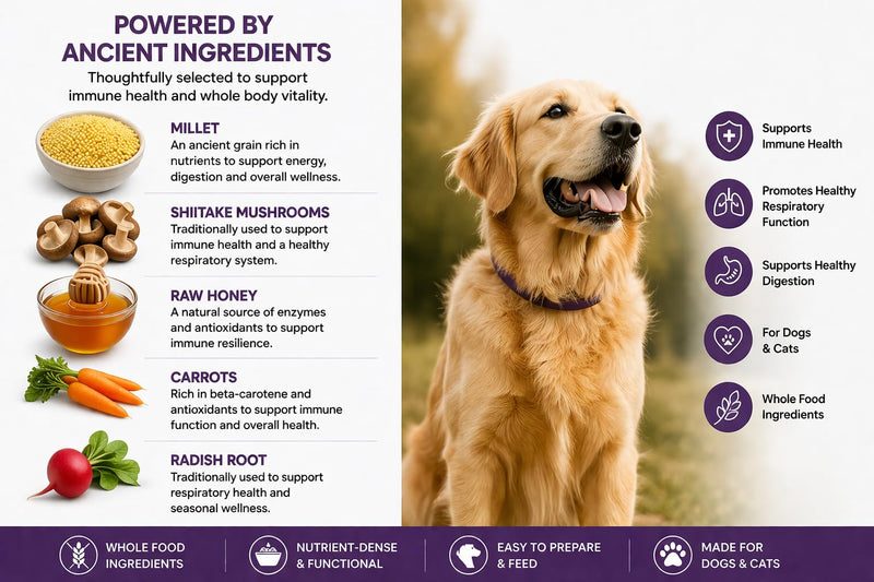 Immune Functional Topper Base Mix for Dogs & Cats - Organic Millet, Shiitake Mushrooms & Raw Honey - Immune Resilience & Respiratory Support - 3.6 oz