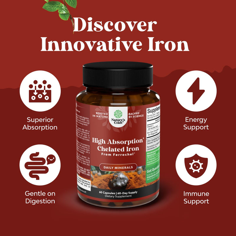 Slow Release Iron Supplement for Women & Men - Supports Health - Blood Support Iron Bisglycinate with Vitamin C - Gentle Energy & Immune Support - High Absorption Ferrous Bisglycinate - 60 Ct - 3pk 60 Count (Pack of 3)