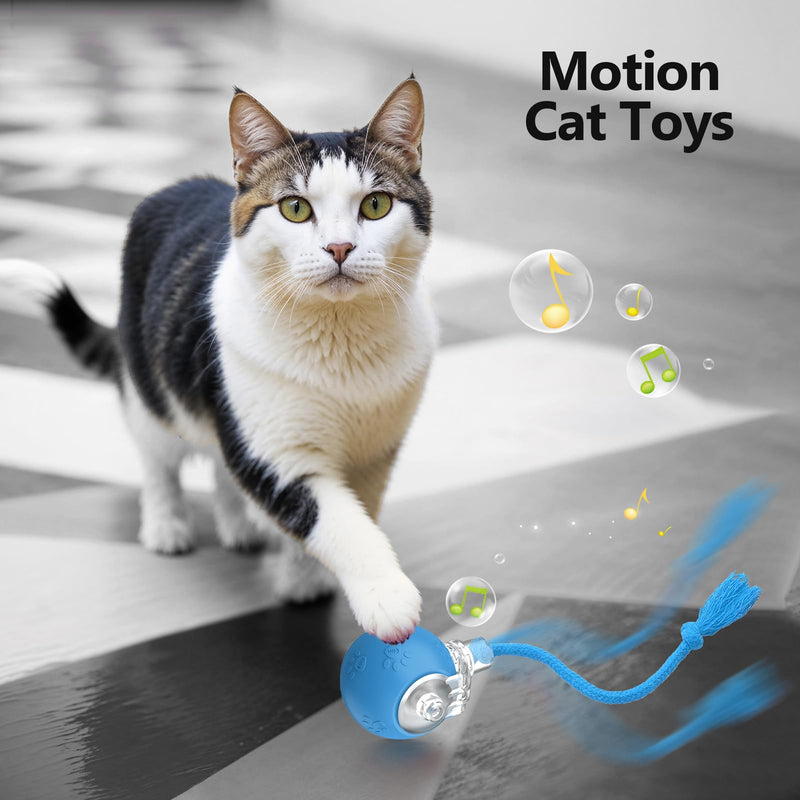 Cat Toys for Indoor Cats, Interactive Cat Toy, USB Rechargeable, Fast Rolling Dog Ball Toy On Rug, Bird Chirping & Motion Activated Cat Ball, Anti-Depression Pet Toy Fun Gift with Light, Blue - BeesActive Australia