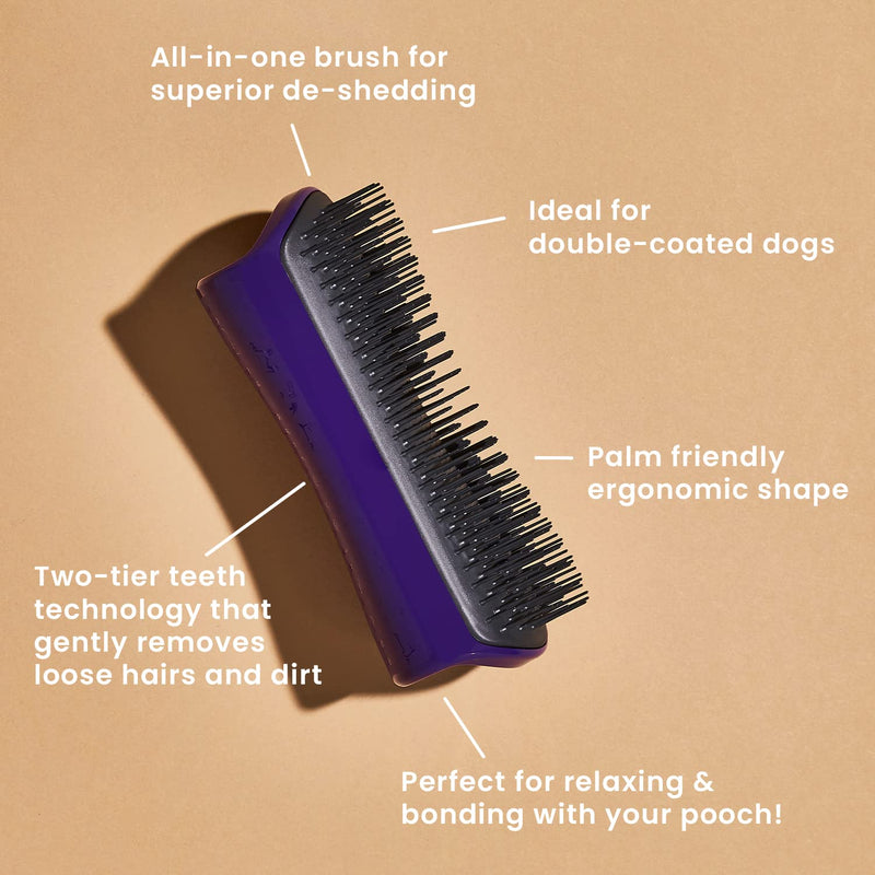 Pet Teezer, Dog Grooming Brush, Purple/Grey Purple and Gray - BeesActive Australia