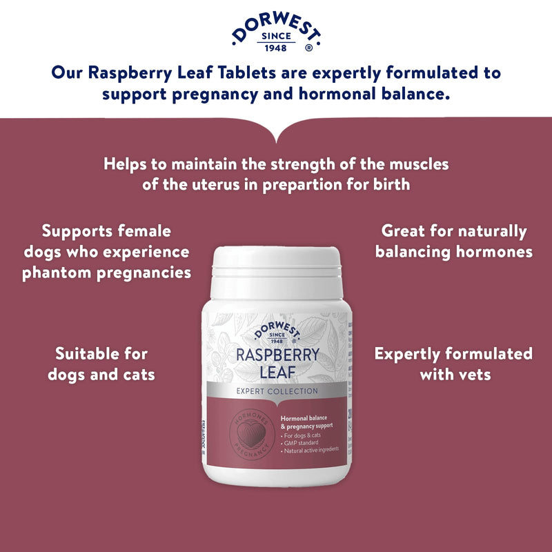 Dorwest Raspberry Leaf Tablets for Dogs And Cats, 200 Tablets, Pregnancy Support For Pets – For Natural Hormonal Balance and Phantom Pregnancies