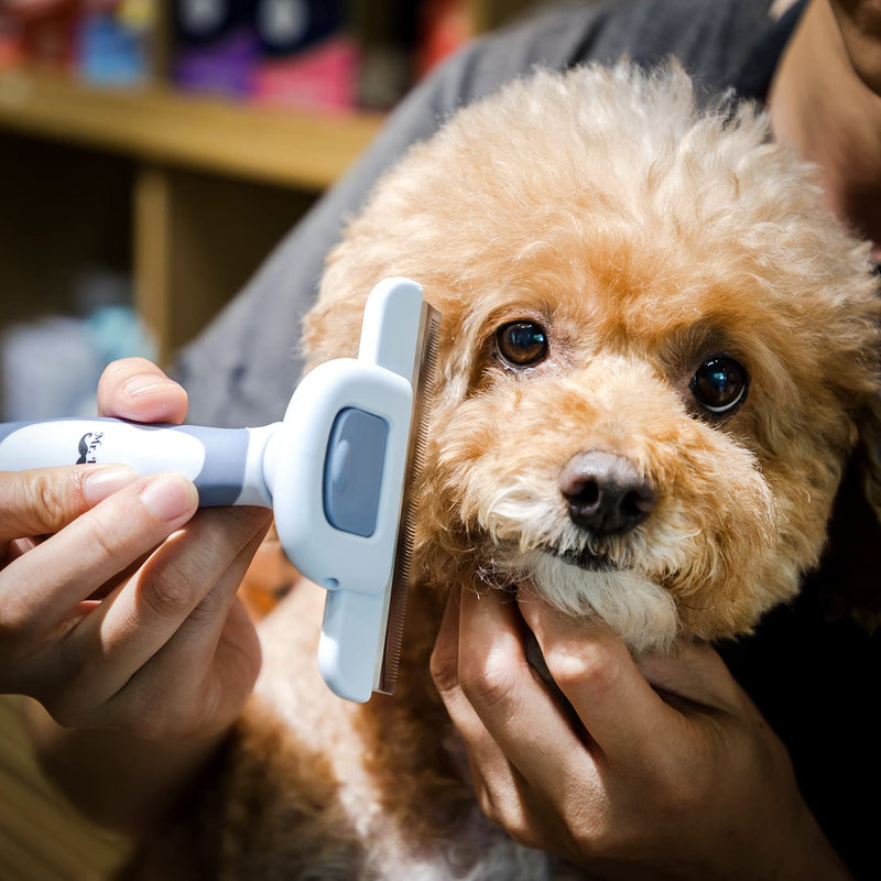 Mr. Pen- Dog Brush for Shedding, Stainless Steel Blade, Pet Grooming Brush, Dog Shedding Brush, Cat Brush for Shedding, Dog Grooming Brush, Dog Deshedding Brush, Cat Grooming Brush, Cat Shedding Brush - BeesActive Australia