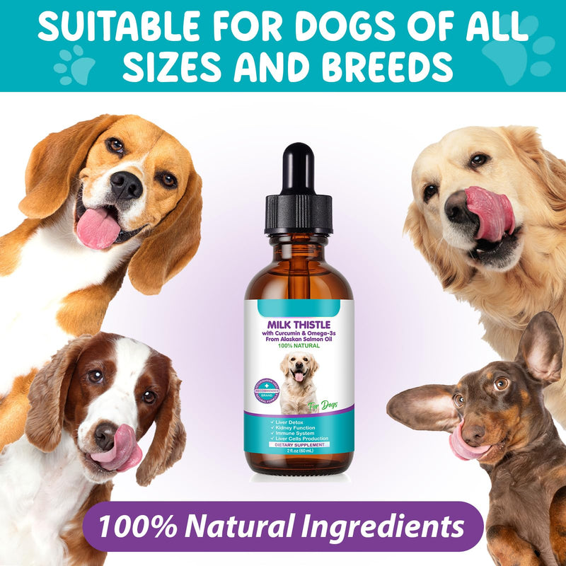 Milk Thistle for Dogs | 60ml Liquid Supplement with Curcumin & Omega-3s | Supports Normal Liver Function, Kidney Health, and Natural Immune Defences | Gentle Botanical Formula for Daily Vitality milk thistle liver detox