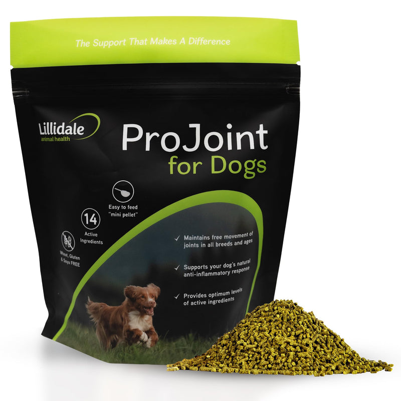 Lillidale ProJoint 500g - Joint Supplement for Dogs with Glucosamine and Chondroitin - Premium Anti-Inflammatory Support - Mobility - Hip & Joints - Soothes Stiffness - Dog Joint Supplement 1 x 500g