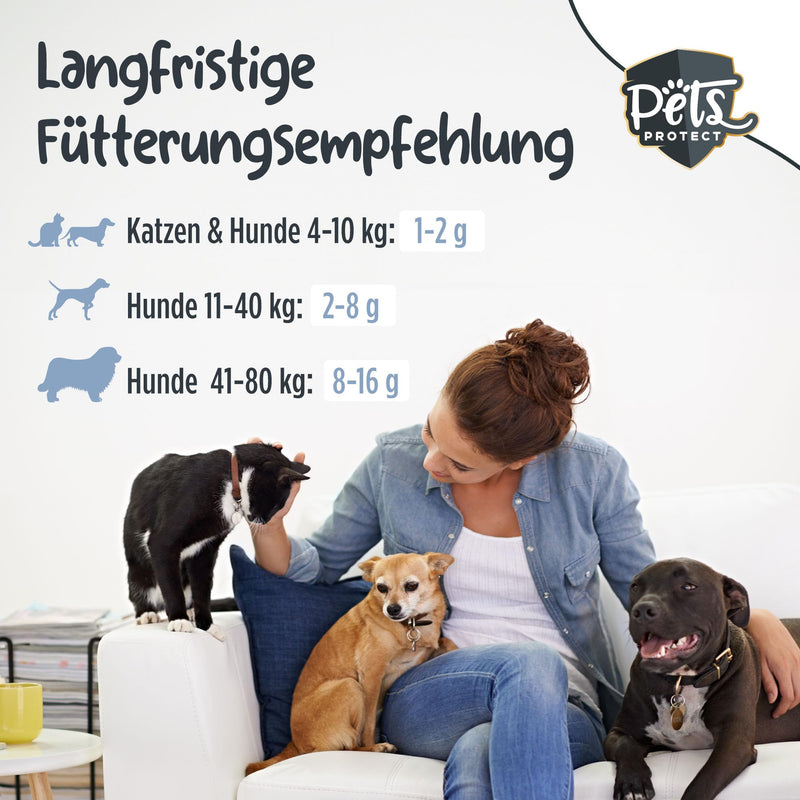 Pets PROTECT pure COLLAGEN POWDER for dogs & cats 300 g | Joint Health Dog | Collagen hydrolyzate from German production | 100% natural | Collagen with maximum nutrient density 1 piece (pack of 1) - BeesActive Australia