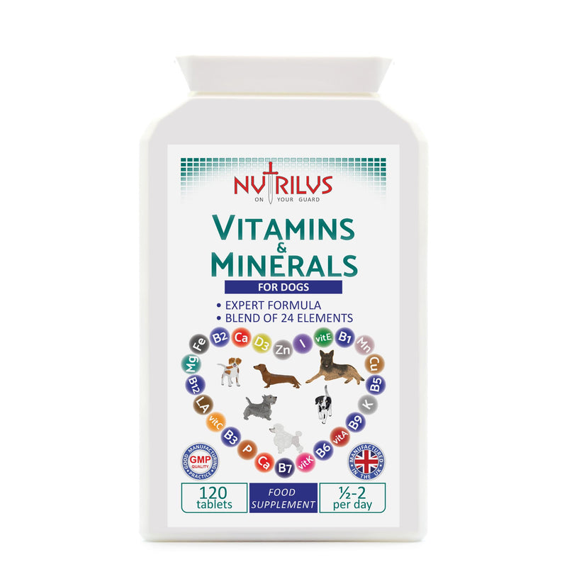 Vitamins and Minerals for Dogs - 120 Chewable Chicken Flavour Tablets - 24 Vitamins, Microelements and Omega 6 - Skin, Fur, Heart, Bones, Brain, Energy