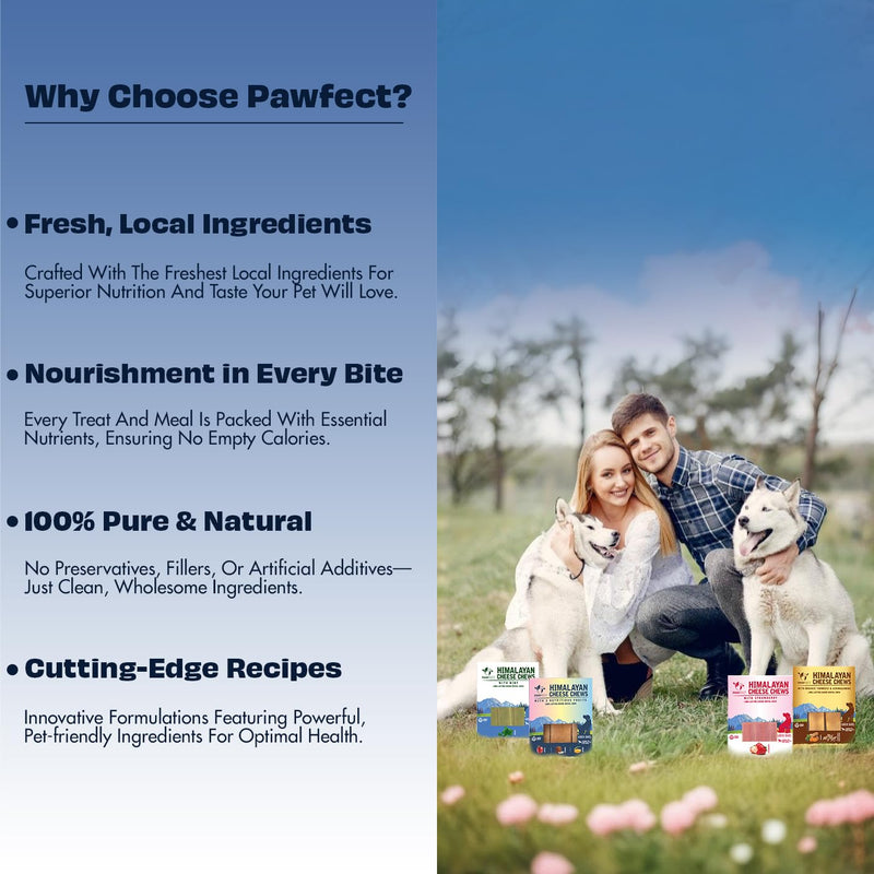 Himalayan Cheese Chews for Dogs Multipack - Apple, Coconut, Mango Chews for Medium Dogs (6.08oz, Pack of 3) Long Lasting, All Natural | Grain-Free | Rawhide-Free | Protein Rich, Healthy Teeth & Bones Apple, Mango, Coconut 2.27 Ounce (Pack of 3) - PawsPlanet Australia