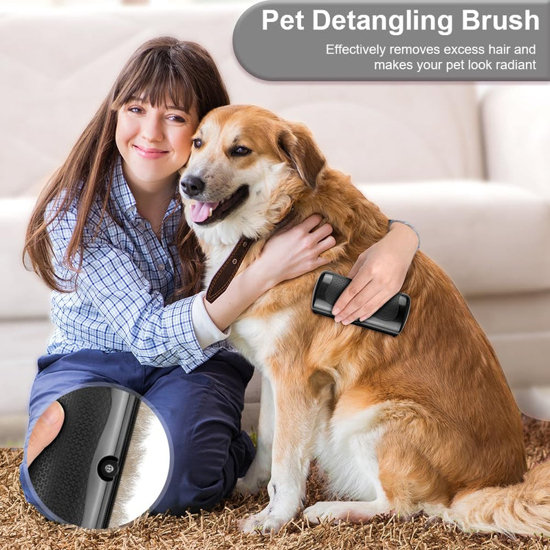Adiwo Groomify Pet Care Brush, Groomify mr Waggy Tails, Pet Hair Removal Brush Grooming Tool, Grooming Combs for Cat and Dog, Pet Hair Removal Comb, Dog Brush for Dogs - BeesActive Australia
