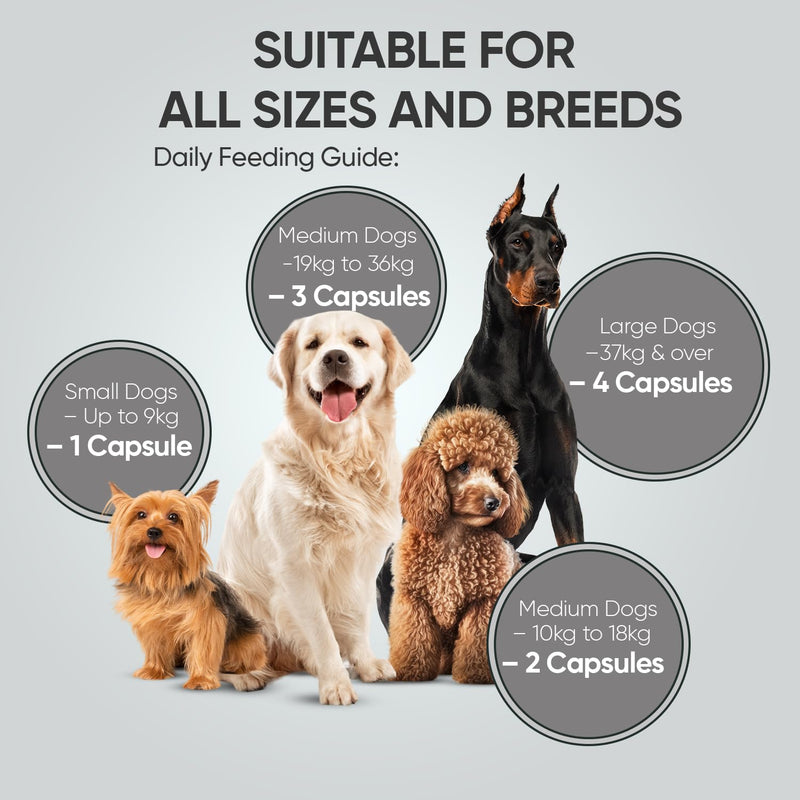 Probiotics for Dogs - Added Prebiotics & Digestive Enzymes - Dog Probiotics for Gut Health, Allergies & Immunity Breeds - Dog Digestive Supplements - 120 'Split & Pour' Capsules