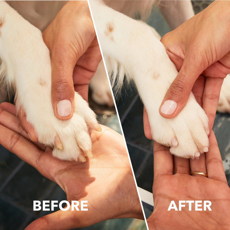 Dremel Pet Grooming Nail Guard Attachment, Ideal for Dog & Cat Nail Trimming, AT02-PGK