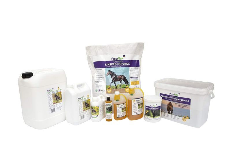 Advanced Dog Formula with Added Turmeric