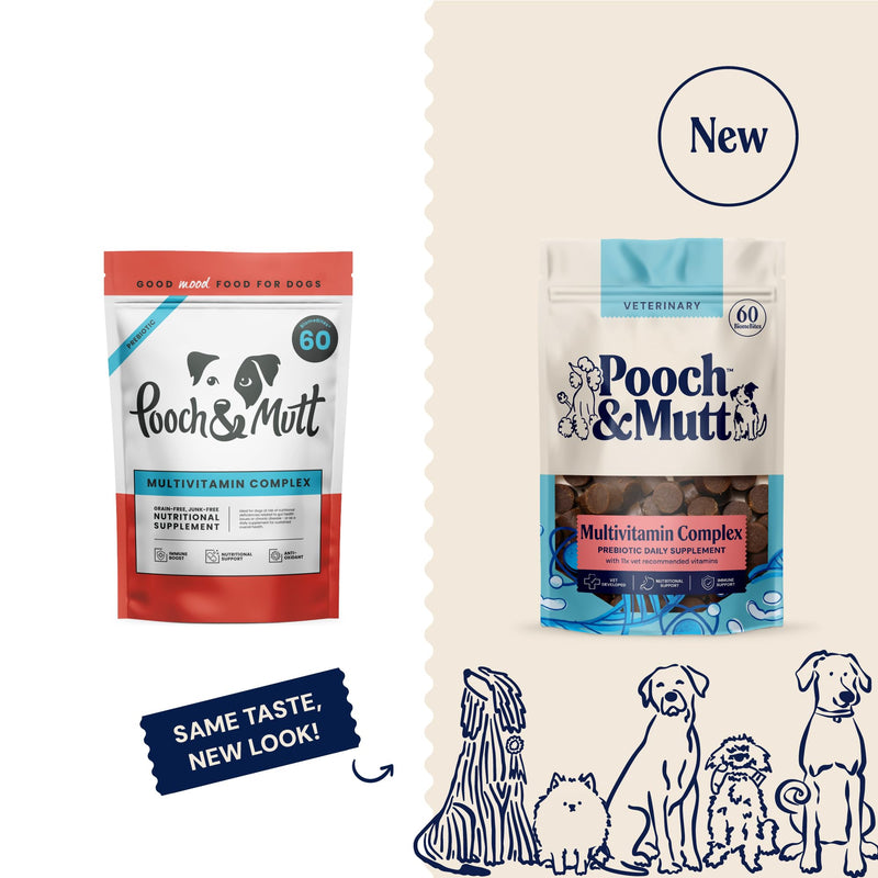Pooch & Mutt - Multivitamin Complex Supplement For Dogs, Helps Support and Maintain Overall Health and Wellbeing, 180g (Pack of 1) Regular