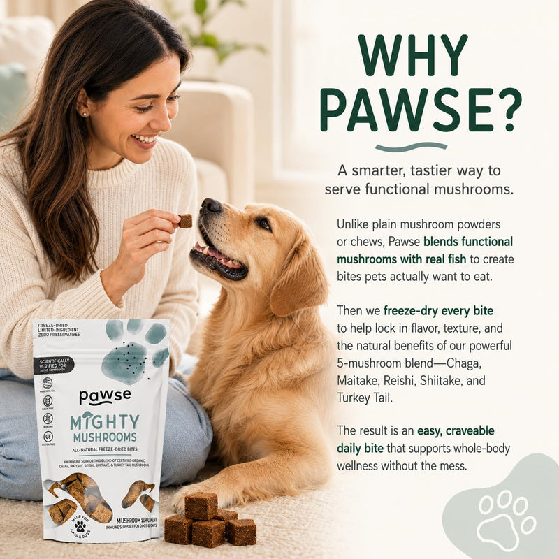 Pawse Mighty Mushroom Chews Supplement for Dogs & Cats | Blend of Turkey Tail, Reishi, Chaga, Maitake & Shiitake | for Immune System, Lumps & Bumps, Gut Health & Skin Support | 60 Chews