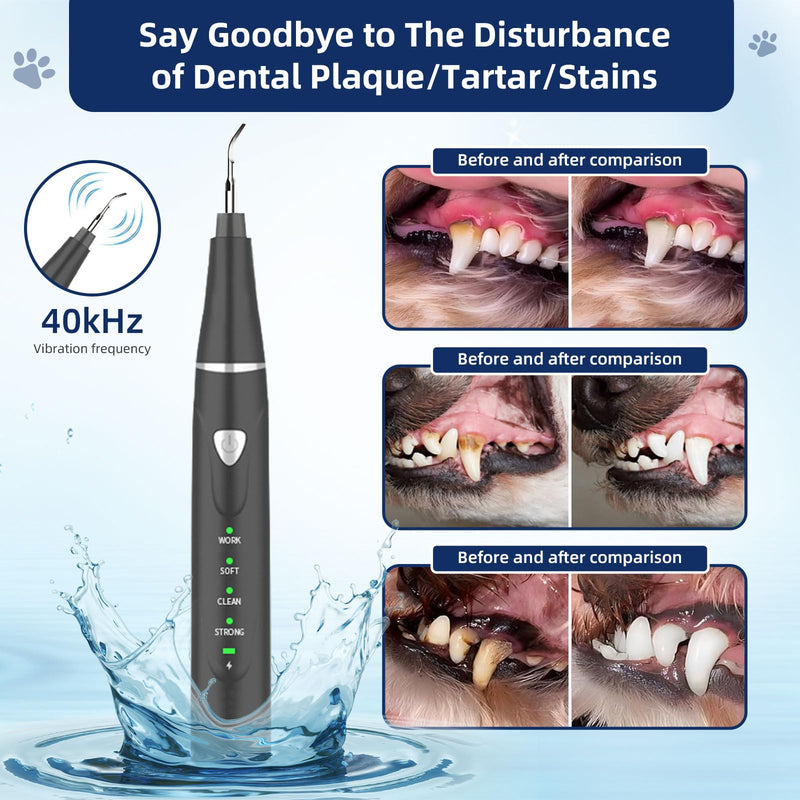 Plaque Remover for Teeth, Pet Ultrasonic Cleaner, Dog Plaque and Tartar Remover with LED Light, Dog Teeth Cleaning Dental Care Kit for Tartar and Stains, Suitable for Dogs and Cats (Black) Black - BeesActive Australia