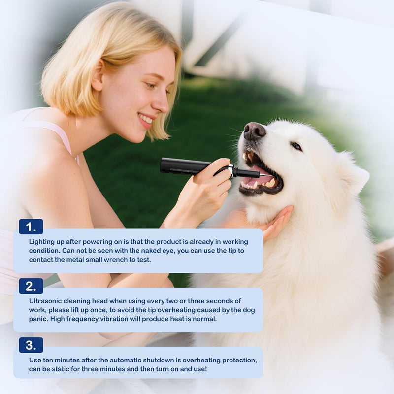 Plaque and Tartar Remover Kit for Dogs,Low Noise Waterproof Ultrasonic Tartar Remover for Pets,Adjustable 5 Modes of Cleaning Intensity (Black) Black - BeesActive Australia