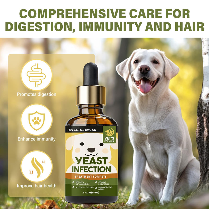 Yeast Infection Treatment for Dogs, Effective Dog Ear Infection Treatment, Natural Ingredients, for Relieve Allergies and Itching, Improves Pet Coat & Skin,60ML - BeesActive Australia