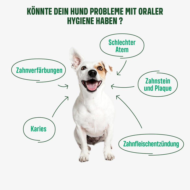 ivvi Dental - dental hygiene snacks for dogs. For healthy teeth and gums, helps with plaque and bad breath - 60 snacks (270g) with chicken. - BeesActive Australia