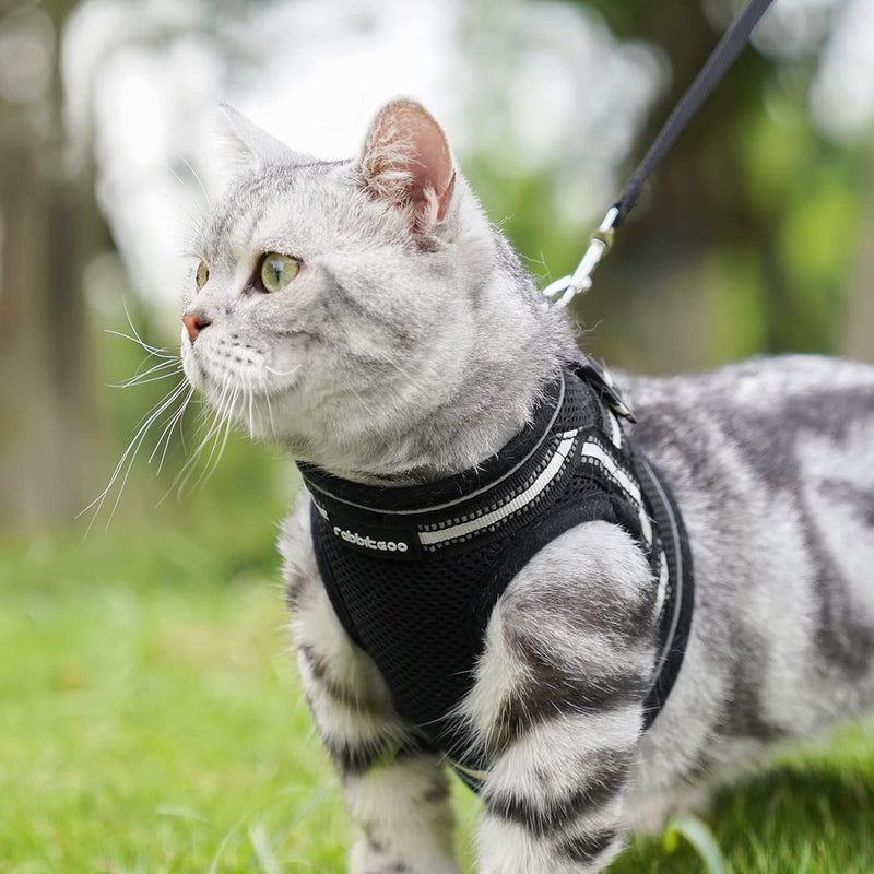 rabbitgoo Cat Harness and Leash Set for Walking Escape Proof, Adjustable Soft Kittens Vest with Reflective Strip for Cats, Comfortable Outdoor Vest, Black, S Small - BeesActive Australia