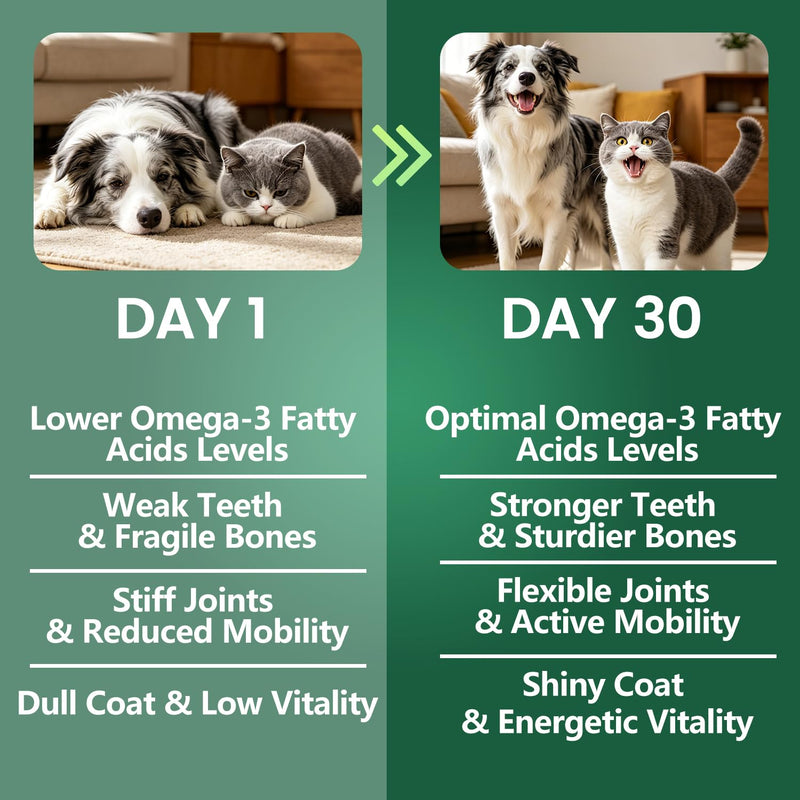 Pure Green Lipped Mussel Powder for Dogs & Cats 100% New Zealand Sourced Supports Hip & Joint Flexibility, Mobility, Tendons & Muscle Strength 200 Grams Made in USA