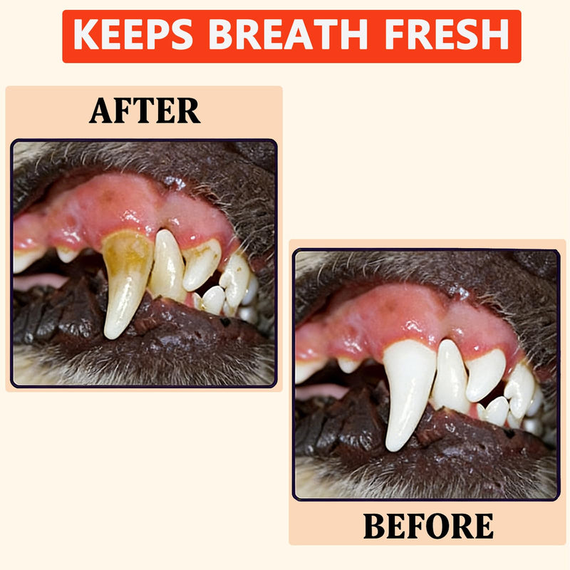 Bee Propolis Oral Spray for Dogs & Cats – 3.4 fl oz Gum Relief for Gingivitis, Reduce Plaque & Bad Breath, Post-Surgery Healing Support, Immune System Boost, Pet Dental Care