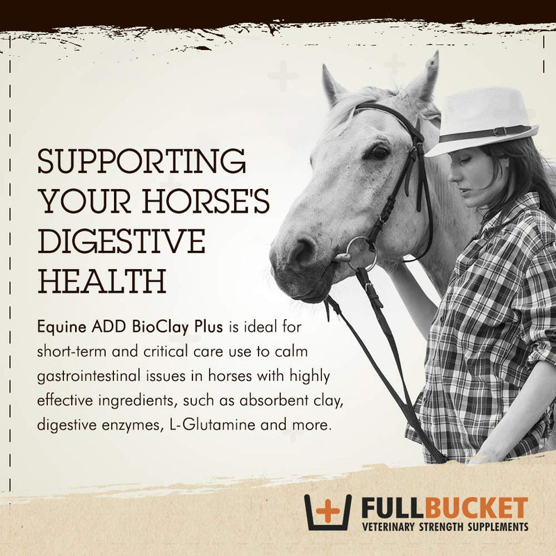 Equine ADD BioClay Plus with Saccharomyces Cerevisiae Boulardii for Anti-Diarrhea; Concentrated Formula with 40 Billion CFUs – 1 Tube - BeesActive Australia