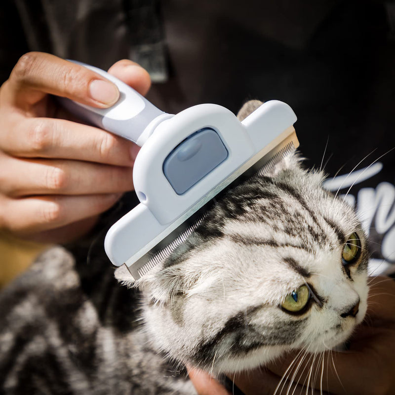 Mr. Pen- Dog Brush for Shedding, Stainless Steel Blade, Pet Grooming Brush, Dog Shedding Brush, Cat Brush for Shedding, Dog Grooming Brush, Dog Deshedding Brush, Cat Grooming Brush, Cat Shedding Brush - BeesActive Australia