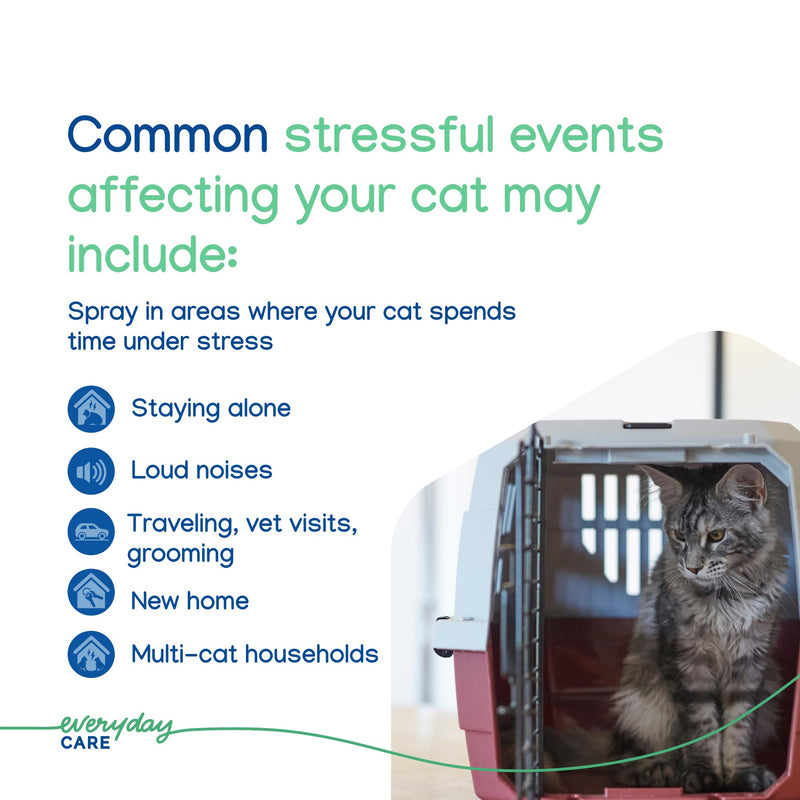 Virbac ZENIFEL™ Spray | Managing Stress-Related Behaviors in Kittens & Cats | Quick-Acting - Ideal for Unexpected Stressful Situations