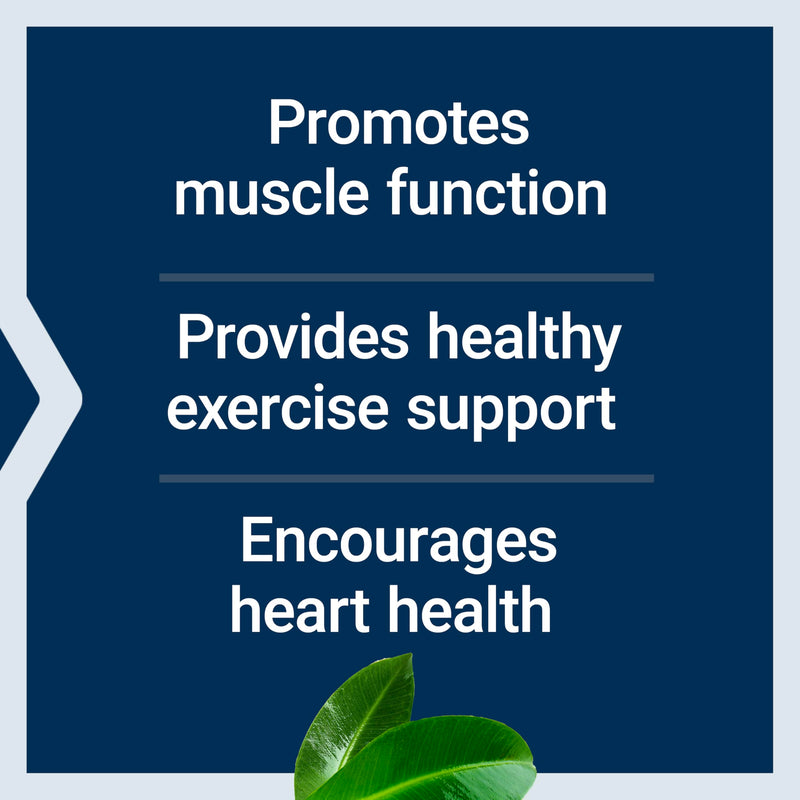 Life Extension Super Carnosine, Heart Health, 60 Capsules | With L-Carnosine, Luteolin & Vitamin B1 for Muscle Support & Exercise Recovery, Gluten-Free, Non-GMO & Vegetarian