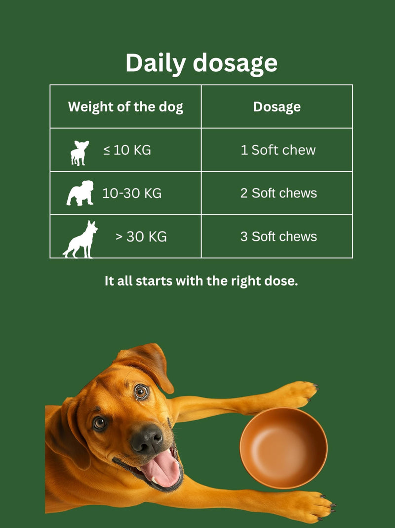 Dr. Flex Probiotic Soft Chews for Dogs – 100% Supports Gut Health & Immunity - 60 Delicious Treats with Colostrum, Brewer’s Yeast, Salmon Oil & Chicory Root Digestive Complex