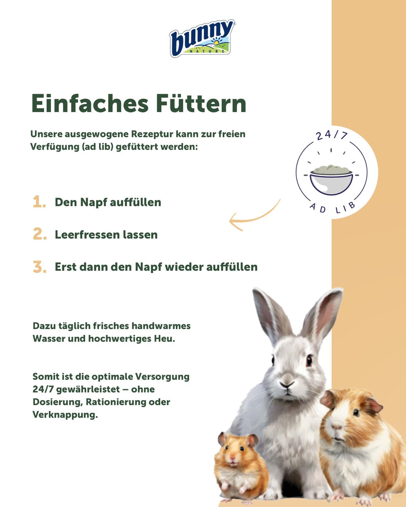 bunnyNature HamsterTraum Expert - complete food for hamsters - hamster food mix with vitamins, power ingredients & mealworms - 500g - BeesActive Australia