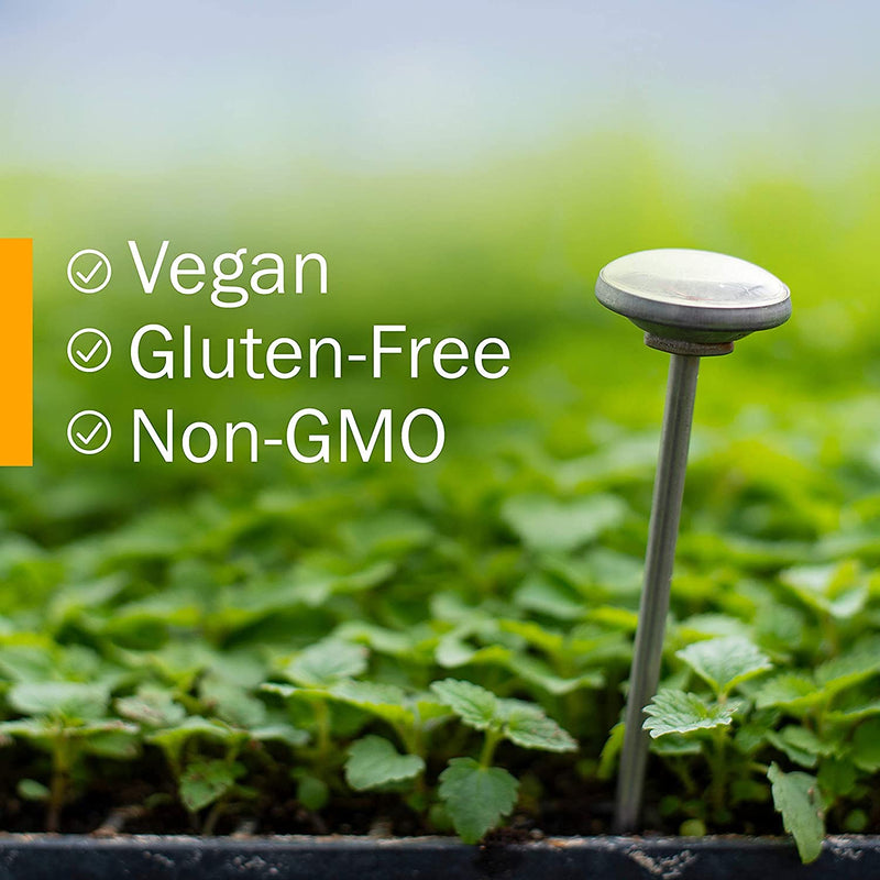 Herb Pharm Relaxing Sleep Herbal Formula with Valerian Liquid Extract - 4 Ounce 4 Fl Oz (Pack of 1) - BeesActive Australia