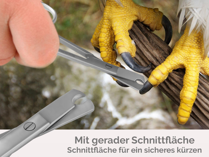 Claw scissors budgies claw pliers birds straight claw cutter 9.5 cm - shortening the claws of parrots parakeets small animals - stainless steel - brand quality from specialist retailers - BeesActive Australia
