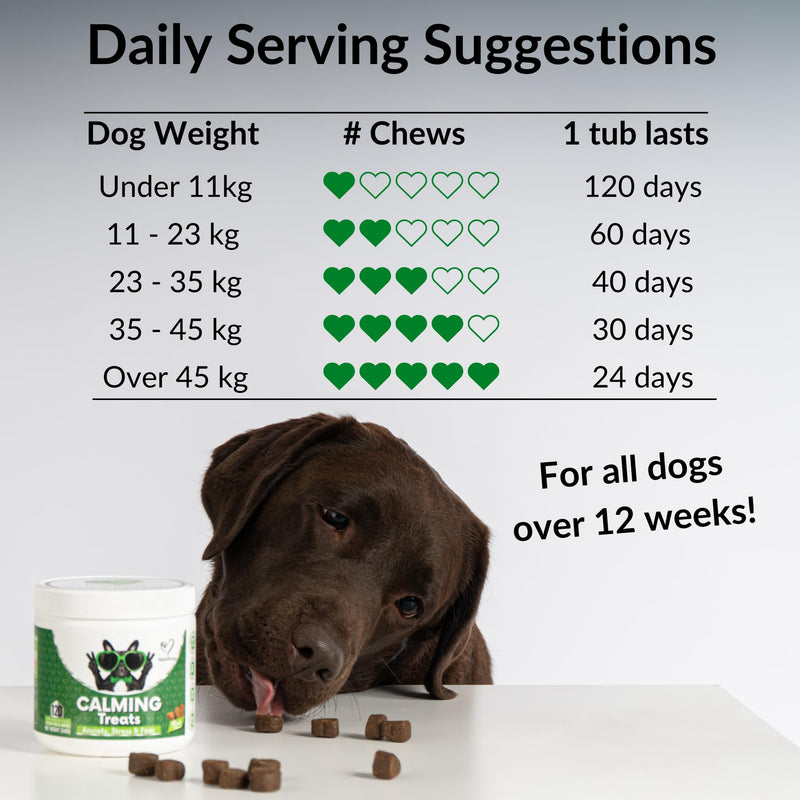 NutriPaw Calming Treats For Dogs - Reduce Stress, Fear, Separation, Barking, Hyperactivity, Reactivity, Aggression, Travel - Calm without Drowsiness dogs Single Pack