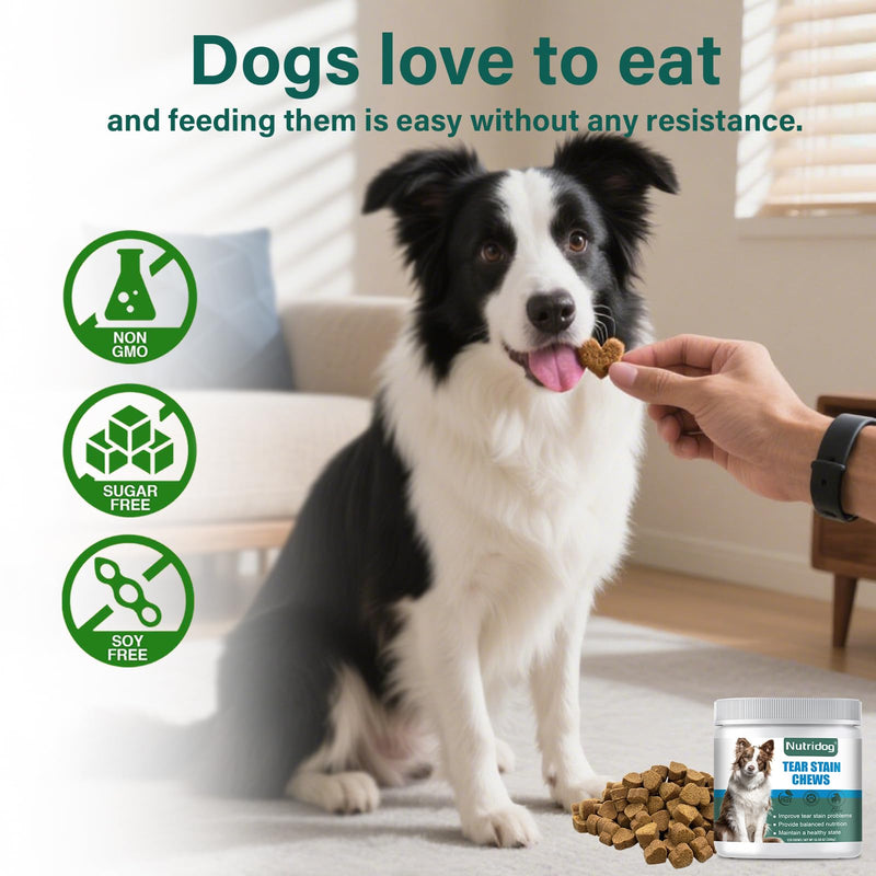 Tear Stain Chews for Dogs - Dog Tear Stain Remover & Supplement with Antioxidant Blend, Vitamin C, Lutein - 120ct Beef Flavor Soft Chews for Eye Health & White Fur Care (ND-038) ND-038