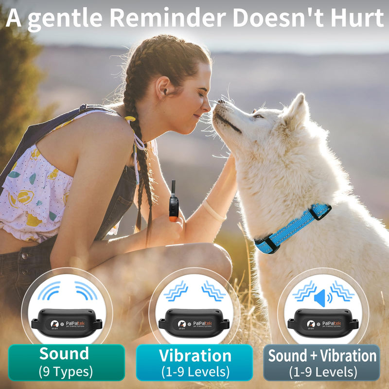 PaiPaitek No Shock Dog Training Collar with Remote 3300ft Range, Strong Vibrating Dog Collar Beep and Vibration Only, Waterproof Vibration Collar for Small Medium Large Dogs (5-120 lbs) - No Prongs Blue - BeesActive Australia