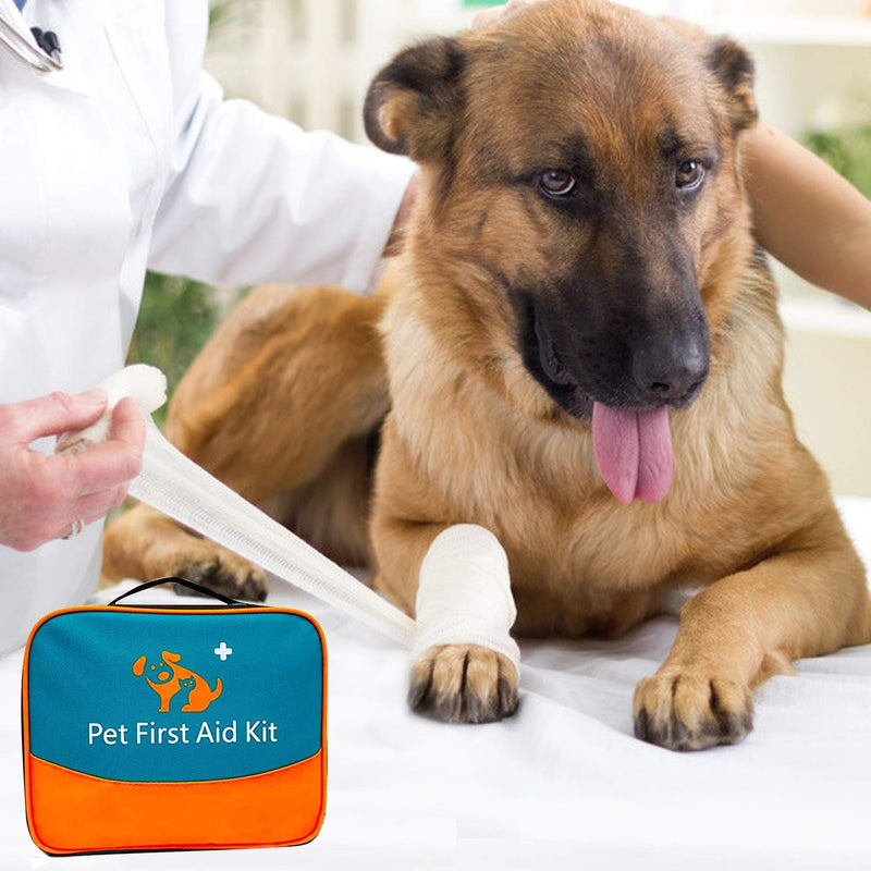 Pet First Aid Kit for Dog, Cat, Rabbit and Other Animal,with Thermometer, Syringe, Otoscope, Perfect for Home Care and Outdoor Travel Emergencies - BeesActive Australia