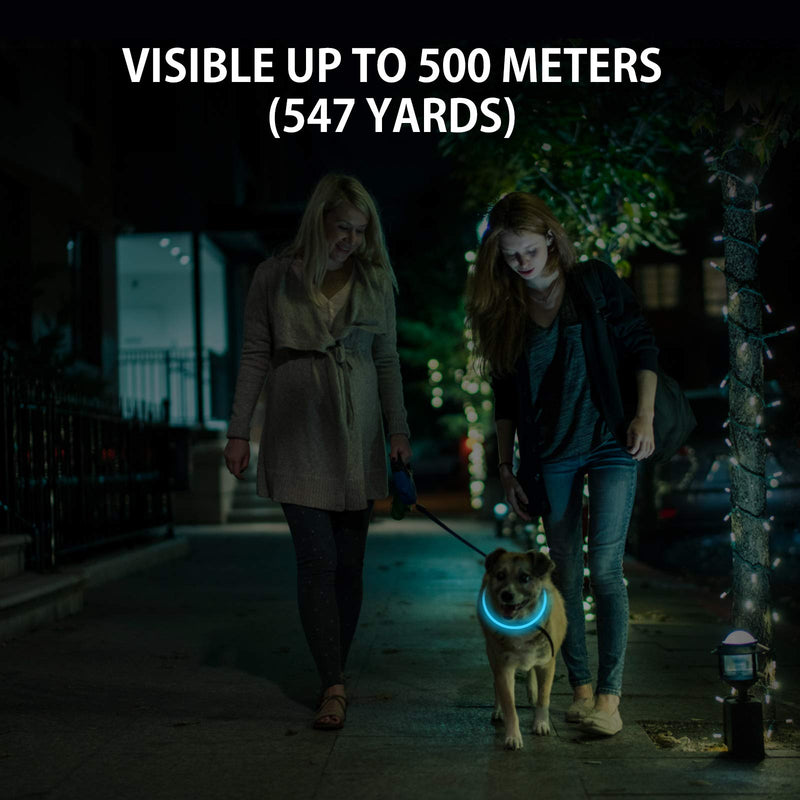 2-Pack LED Dog Collar, Light Up Dog Collars,Rechargeable Dog Lights for Night Walking，Universal, Reusable Safety Necklace for Small Medium Large Dogs Green&Blue - BeesActive Australia