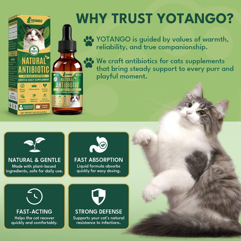 YOTANGO Natural Antibiotics for Cats, Cat Antibiotics for UTI & Itch Support, Immune, Digestive, Allergy, Skin & Coat Support for Cats and Kittens, for All Ages & Breeds (Chicken Flavor-60ml 2 Pack) 2 PCS
