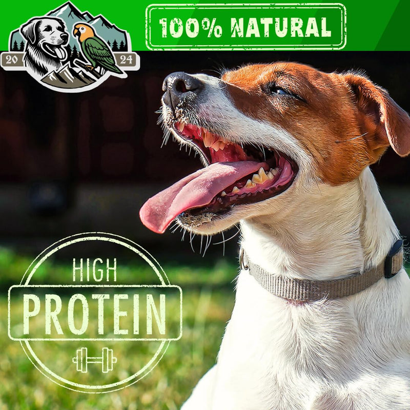Exquisite Pets 12" Collagen Sticks (5)-Pack of 100% Beef Collagen Dental Sticks Long-Lasting Dog Chews are sourced from Brazilian Grass-Fed Free-Range, Cattle