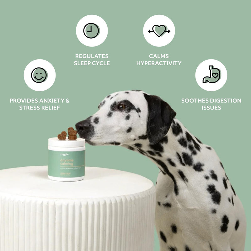 Reggie Anytime Calming Chews for Dogs | Natural Calming Dog Treats to Reduce Hyperactivity, Separation Anxiety, & Stress | Vet-Approved & Ideal for All Ages, Breeds, and Sizes - 60 Soft Chews 60 Count - PawsPlanet Australia