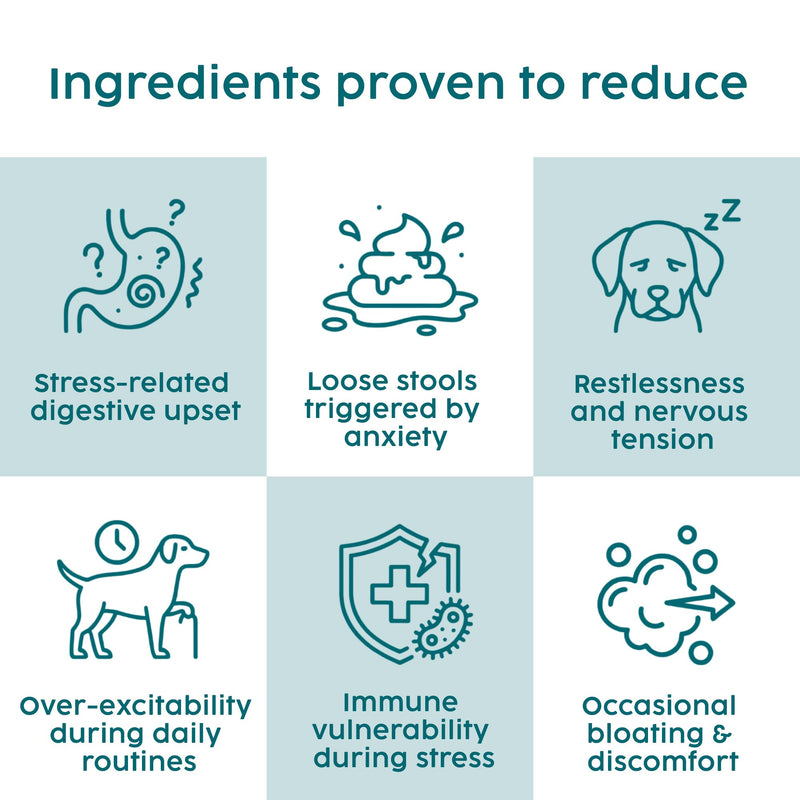 Dog Calming Supplements, Probiotics & L- Tryphtophan Powder for Anxious Dog, Stress and Anxiety for Dogs Support, Fireworks, Car Travel, Long Term Relaxation Treatment - Beef Flavour, 100g