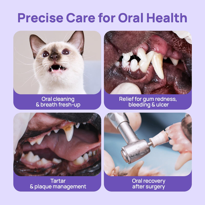 HICC PET Dog Dental Gel for Dogs & Cats, No-Brush Teeth Cleaning Gel, Dog Breath Freshener, Reduce Plaque & Tartar, and Support Gum Comfort, Daily Use Oral Care, 60ml, Natural Ingredients
