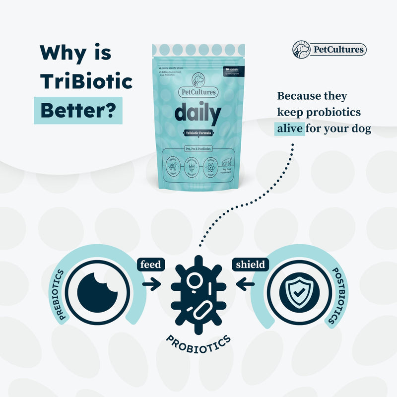 PRO Daily Probiotics for Dogs, Gut Health PRE, PRO, and Post-biotic Powder Supplement with Digestive Enzymes, Dog Probiotics for Digestive Health, 30 Packs (Daily) - PawsPlanet Australia