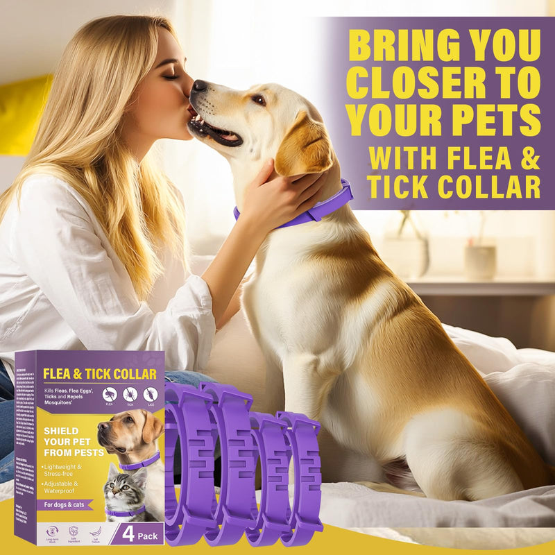 Dog collar, cute cat collar, against ticks, fleas and mosquitoes, waterproof animal collar, one year long-term protection - BeesActive Australia