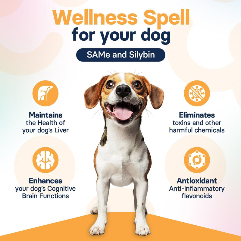 Liver Health Supplement for Medium Dogs, S-Adenosylmethionine (Same) and Silybin, Liver Tablets, Cognitive Support, 30 Tablets - BeesActive Australia